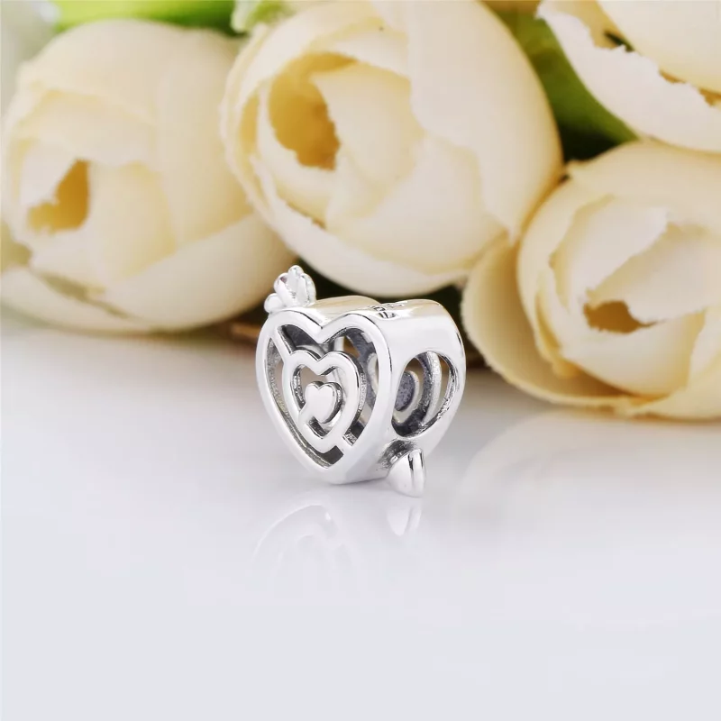(afbeelding voor) PANDORA Path To Love Bedel 797814 - Bekijken 3