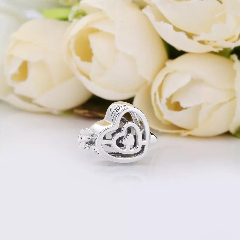 (afbeelding voor) PANDORA Path To Love Bedel 797814 - Bekijken 4