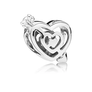 (afbeelding voor) PANDORA Path To Love Bedel 797814