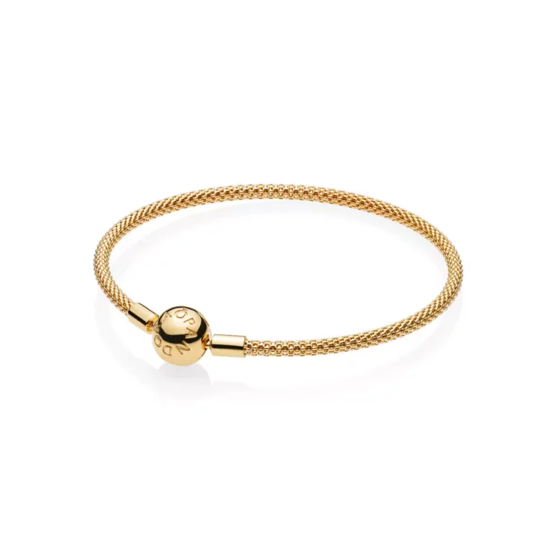 (afbeelding voor) Pandora Shine Moments Mesh Armband 566543