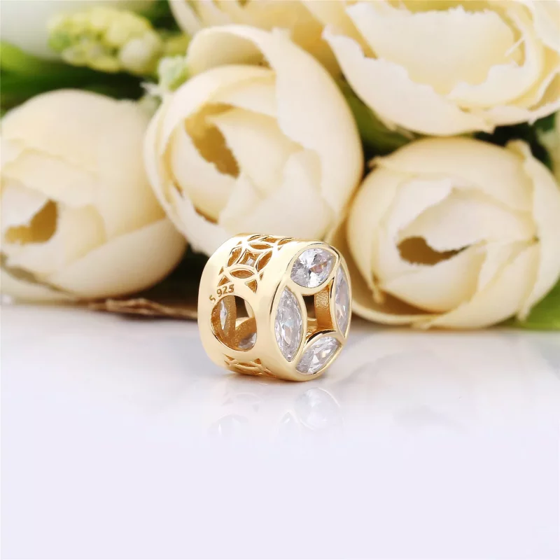 (afbeelding voor) Pandora Shine Veel Geluk Munt Bedel 767821Csy - Bekijken 4