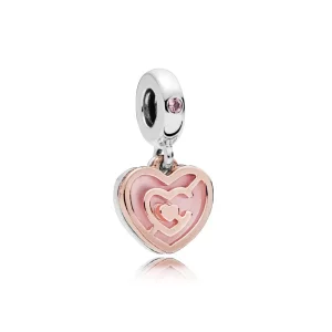 (afbeelding voor) Pandora Rose Pad Naar Liefde Hangende Bedel 787801Nbp