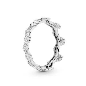 (afbeelding voor) Pandora Zilveren Bloemenkroon Ring 197924CZ