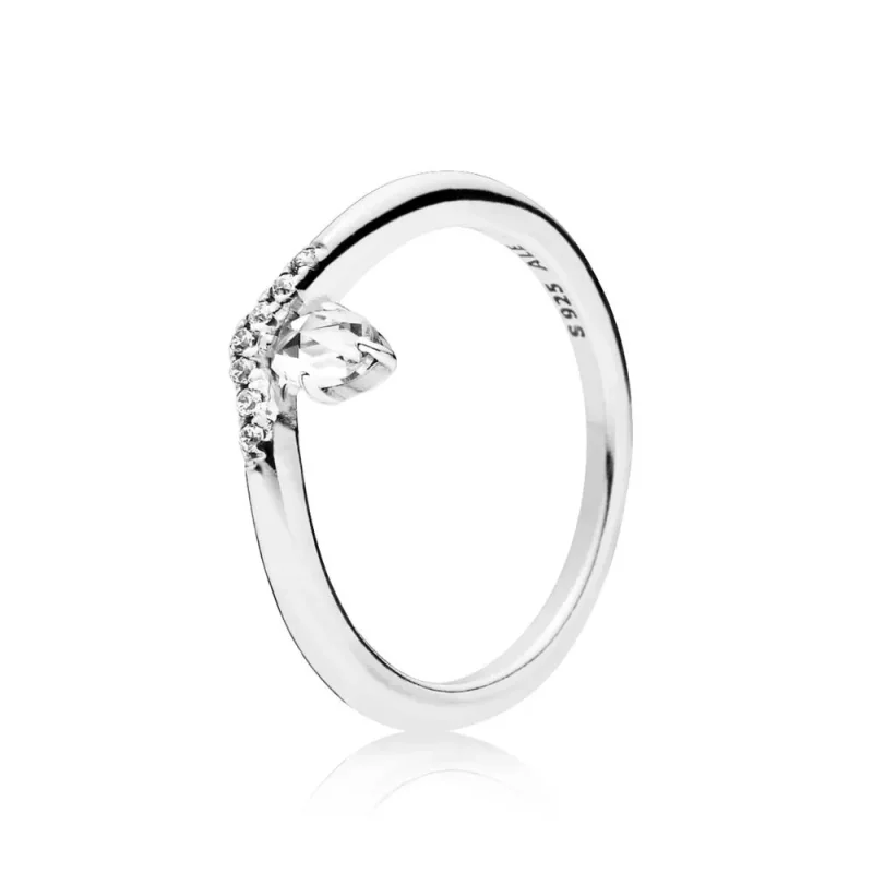(afbeelding voor) Pandora Zilveren Klassieke Wish Ring 197790CZ