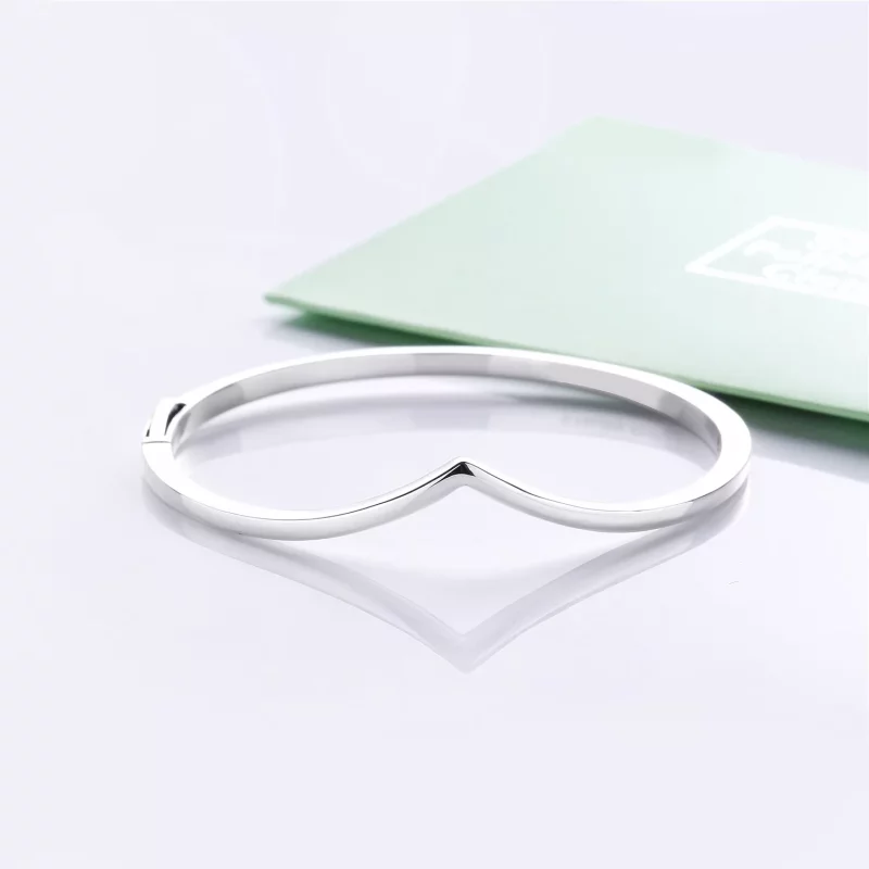 (afbeelding voor) Pandora Zilveren Shining Wish Bangle 597791 - Bekijken 3