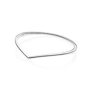 (afbeelding voor) Pandora Zilveren Shining Wish Bangle 597791