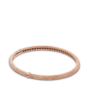 (afbeelding voor) Pandora Bangle Armband Matte Glans Armband - 587915