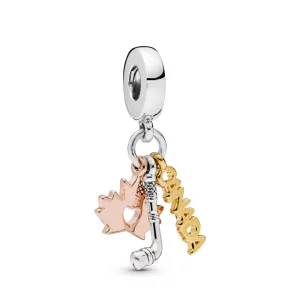 (afbeelding voor) Pandora Hangende Bedel, Canada - 798028
