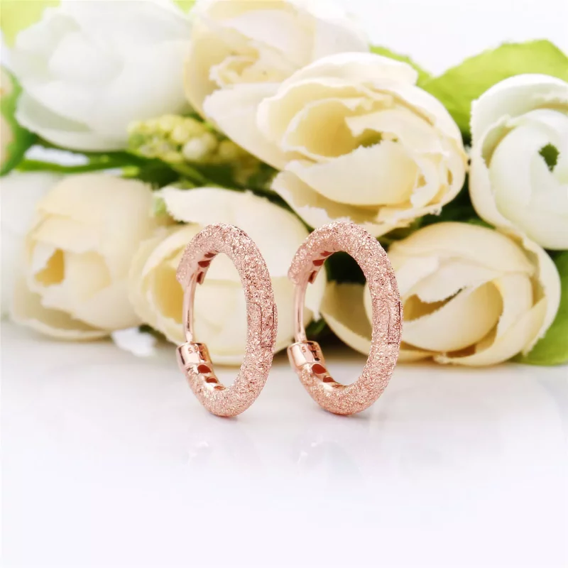 (afbeelding voor) Pandora Matte Brilliance Oorbellen - 287930 - Bekijken 2