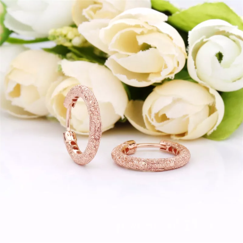 (afbeelding voor) Pandora Matte Brilliance Oorbellen - 287930 - Bekijken 3