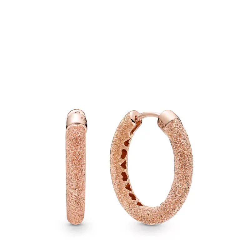(afbeelding voor) Pandora Matte Brilliance Oorbellen - 287930
