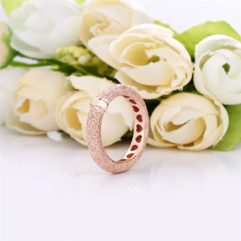 (afbeelding voor) Pandora Matte Brilliance Ring - 187954 - Bekijken 3
