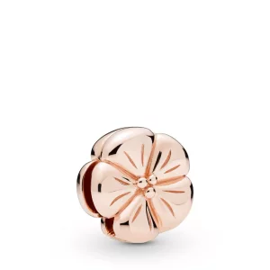 (afbeelding voor) Pandora Reflexions Classic Flower Clip - 787897