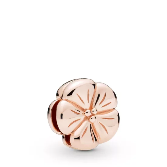 (afbeelding voor) Pandora Reflexions Classic Flower Clip - 787897