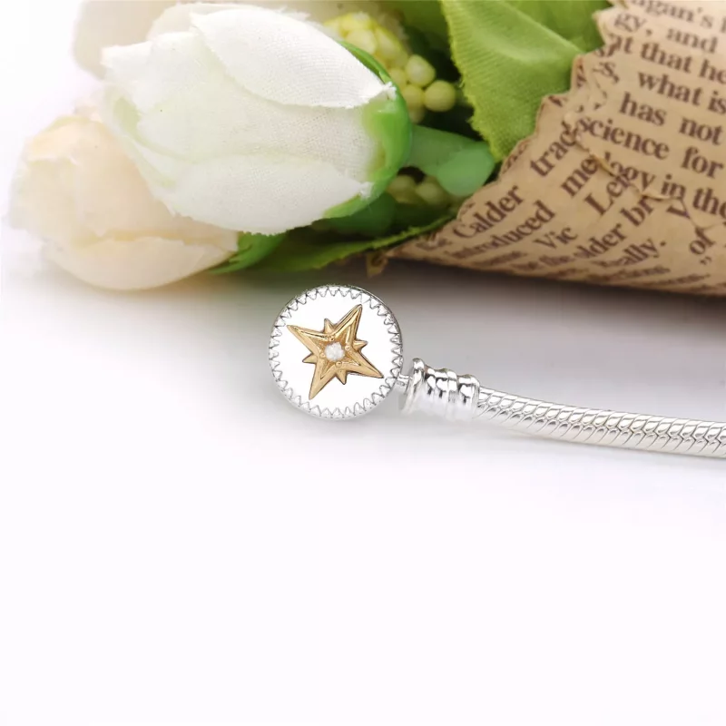(afbeelding voor) Pandora Liefde Kompas Armband 598538C01_P - Bekijken 4