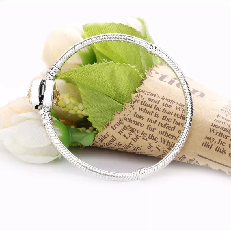 (afbeelding voor) Pandora Liefde Kompas Armband 598538C01_P - Bekijken 5