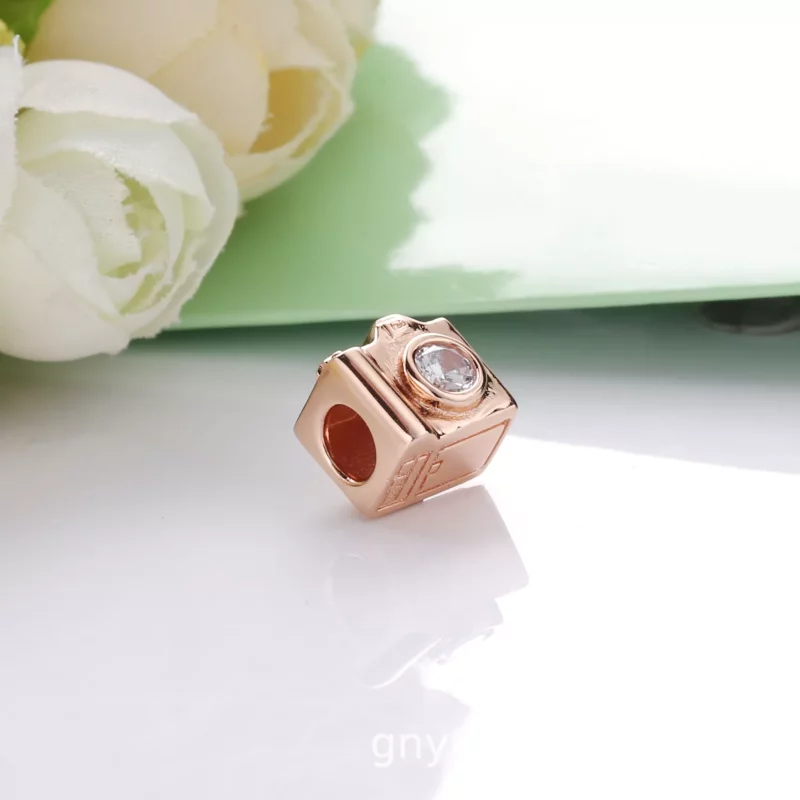 (afbeelding voor) Pandora Rose Camera Bedel 787986CZ - Bekijken 5