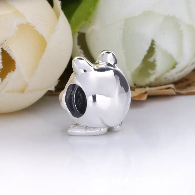 (afbeelding voor) PANDORA 2020 Limited Edition Kikker Zilveren Bedel 798953C00 - Bekijken 3