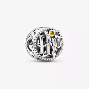 (afbeelding voor) Harry Potter, Openwork Harry Potter Iconen Bedel - 799127C01