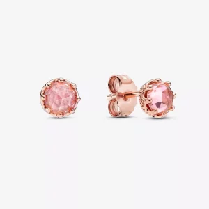 (afbeelding voor) Roze Sprankelende Kroon Oorknopjes 288311c01