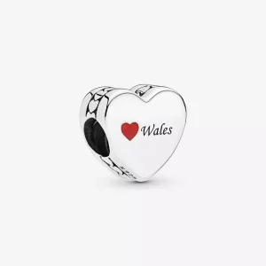 (afbeelding voor) Wales Love Heart Charm 792015_e008