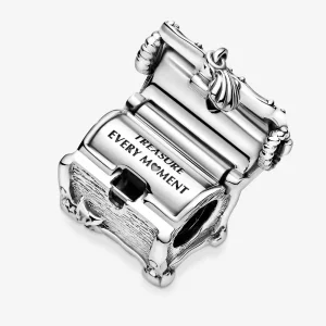 (afbeelding voor) PANDORA Schatkist Bedel - 799432C00