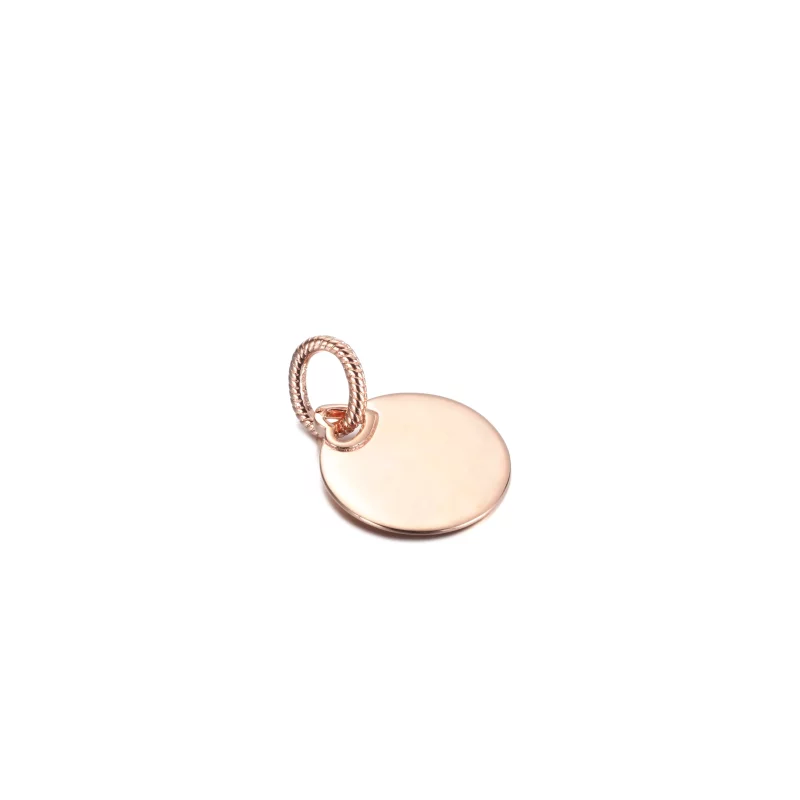 (afbeelding voor) PANDORA Rond Plaatje Hanger - 388610C00 - Bekijken 3