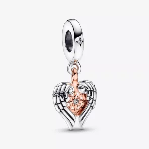 (afbeelding voor) PANDORA Hemelse Kompas Engelen Vleugels Hanger Bedel - 782359C01
