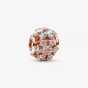 (afbeelding voor) PANDORA Sprankelend Herbarium Cluster Ronde Bedel - 782383C01