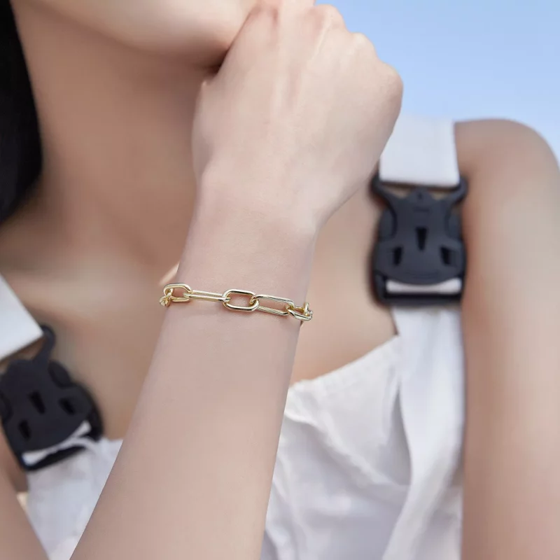 (afbeelding voor) Pandora Stijl Link Me Armband - BSB078 - Bekijken 3
