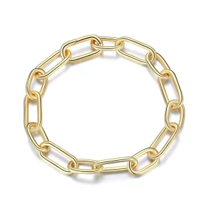 (afbeelding voor) Pandora Stijl Link Me Armband - BSB078