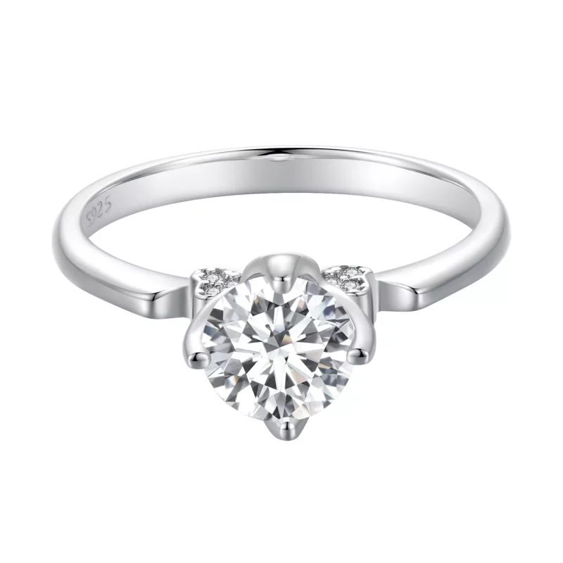 (afbeelding voor) Pandora Stijl Trouwring Bedel - MSR024 - Bekijken 4