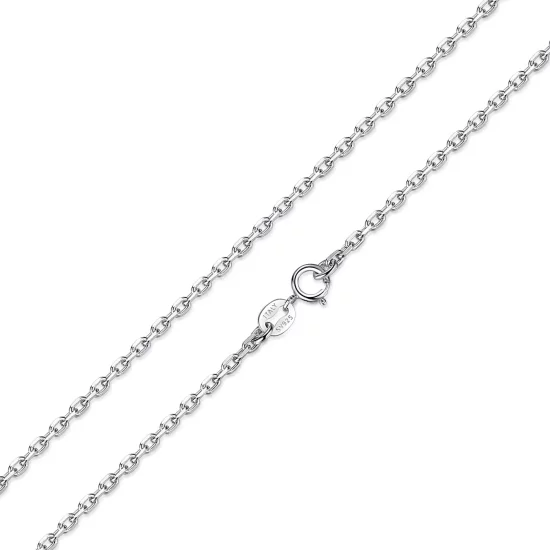 (afbeelding voor) Pandora Stijl Zilveren Ketting - SCA007