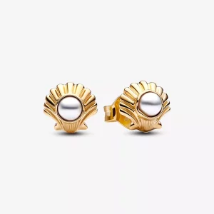 (afbeelding voor) Pandora Disney De Kleine Zeemeermin Zeeschelp Stud Oorbellen - 262686C01