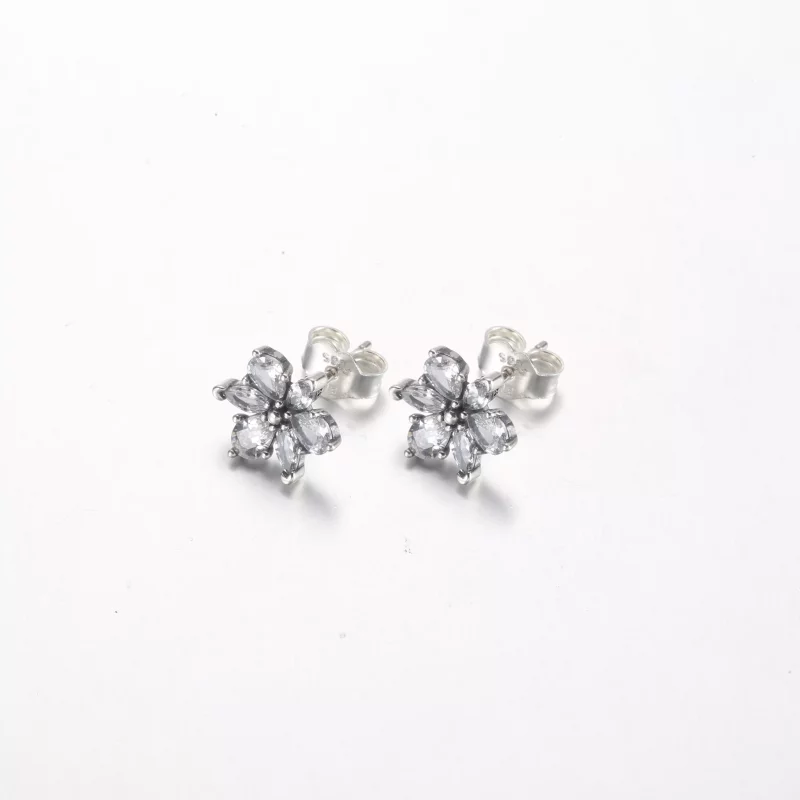 (afbeelding voor) Pandora Sprankelende Herbarium Cluster Stud Oorbellen - 292633C01 - Bekijken 2