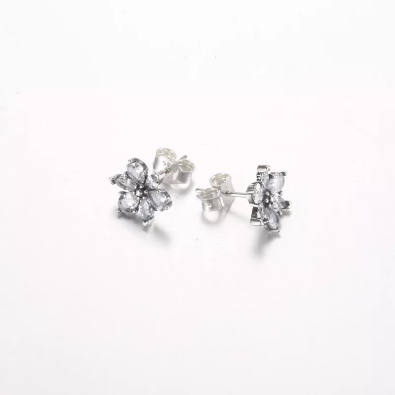 (afbeelding voor) Pandora Sprankelende Herbarium Cluster Stud Oorbellen - 292633C01 - Bekijken 5