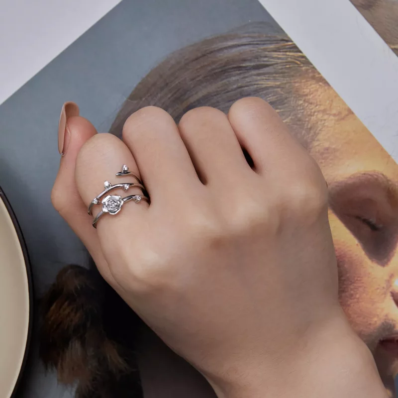 (afbeelding voor) Pandora Stijl Gepersonaliseerde Veelzijdige Rozenrank Ring - BSR404 - Bekijken 7