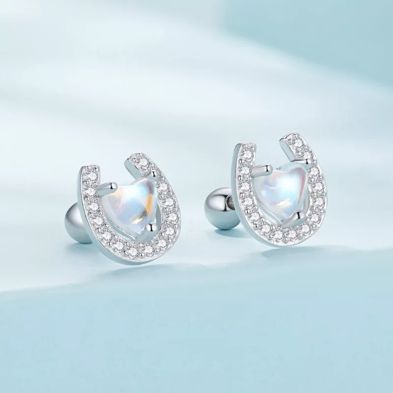 (afbeelding voor) Pandora-stijl Hoefijzer Ronde Oorpluggen Studs Oorbellen - SCE1612 - Bekijken 2