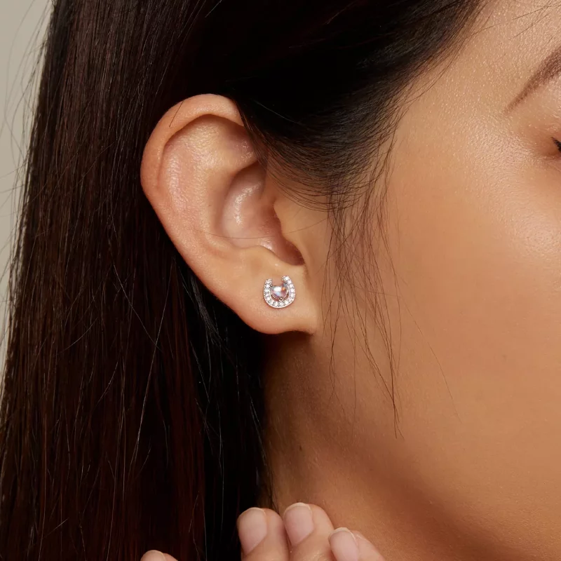 (afbeelding voor) Pandora-stijl Hoefijzer Ronde Oorpluggen Studs Oorbellen - SCE1612 - Bekijken 6