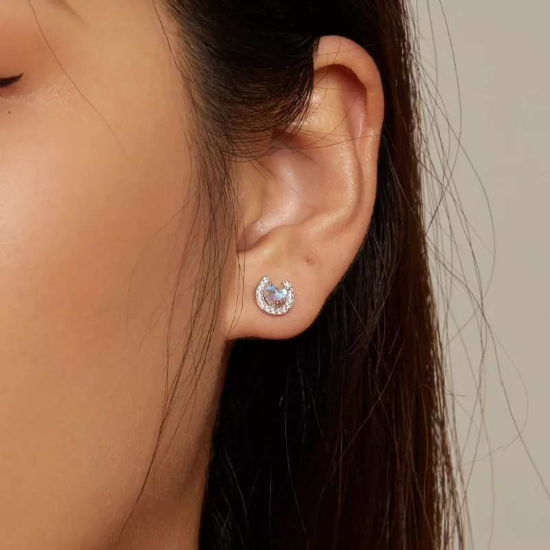 (afbeelding voor) Pandora-stijl Hoefijzer Ronde Oorpluggen Studs Oorbellen - SCE1612 - Bekijken 7