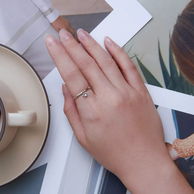 (afbeelding voor) Pandora Stijl Hondenpoot Ring - SCR892 - Bekijken 6