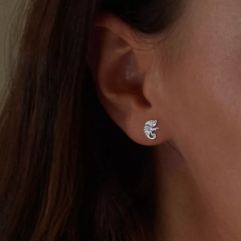 (afbeelding voor) Pandora-stijl Kameleon Studs Oorbellen - SCE1661 - Bekijken 5