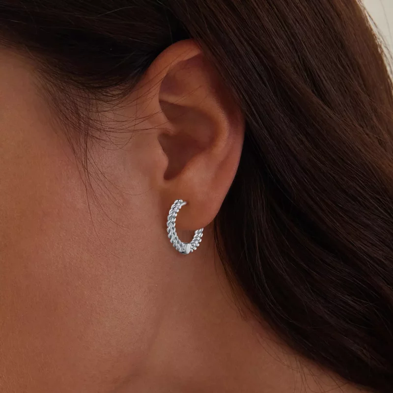 (afbeelding voor) Pandora Stijl Ketting Oorringen - BSE906 - Bekijken 5