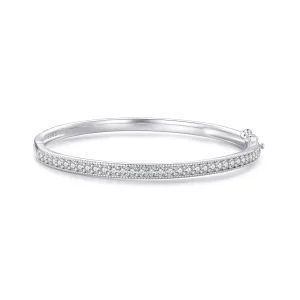 (afbeelding voor) Pandora Stijl Prachtige Armband - BSB130