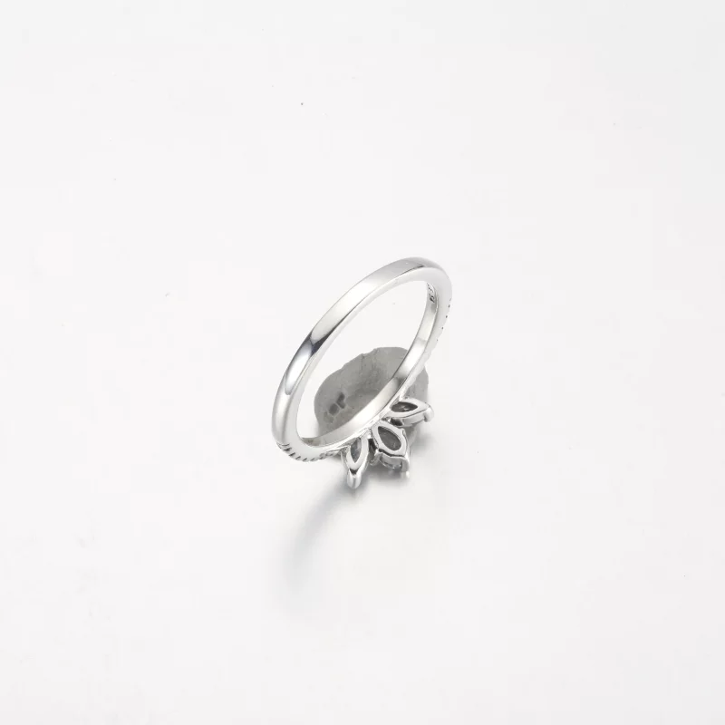 (afbeelding voor) Pandora Sparkling Herbarium Cluster Ring - 192392C01 - Bekijken 5