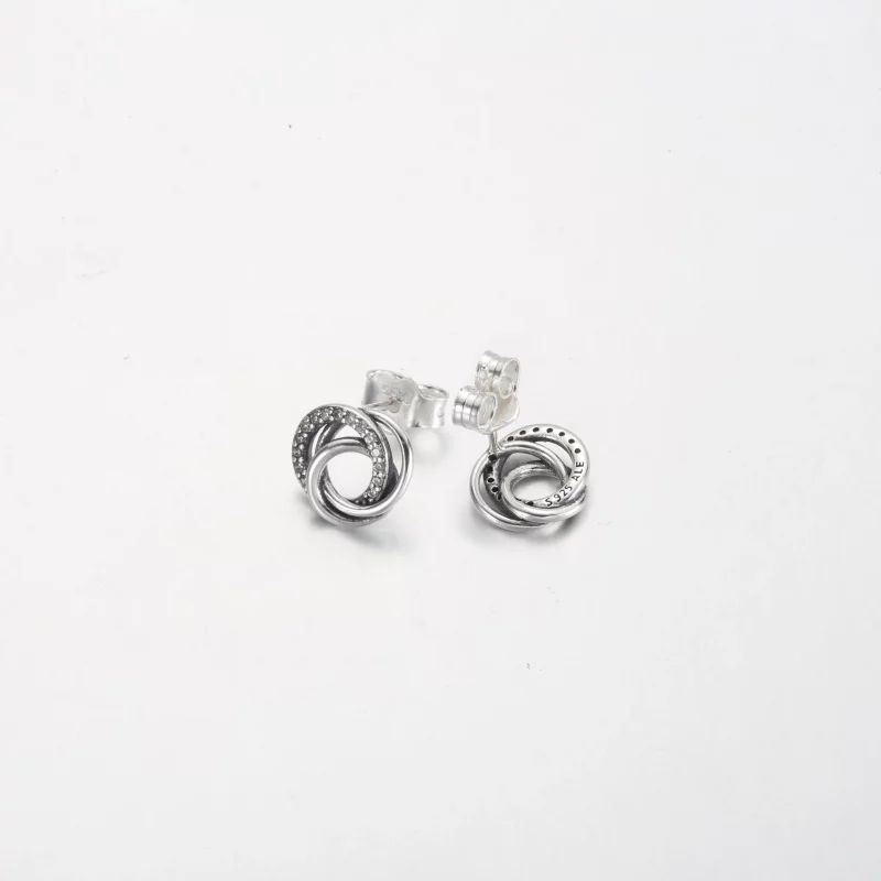 (afbeelding voor) Pandora Family Always Encircled Stud-oorbellen - 291076C01 - Bekijken 3