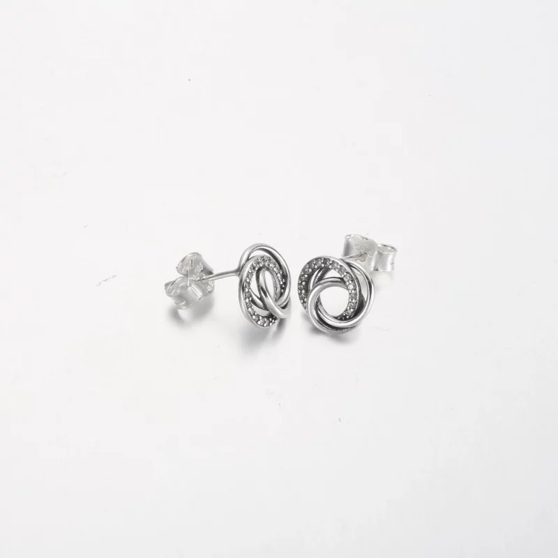 (afbeelding voor) Pandora Family Always Encircled Stud-oorbellen - 291076C01 - Bekijken 4