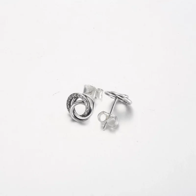 (afbeelding voor) Pandora Family Always Encircled Stud-oorbellen - 291076C01 - Bekijken 5