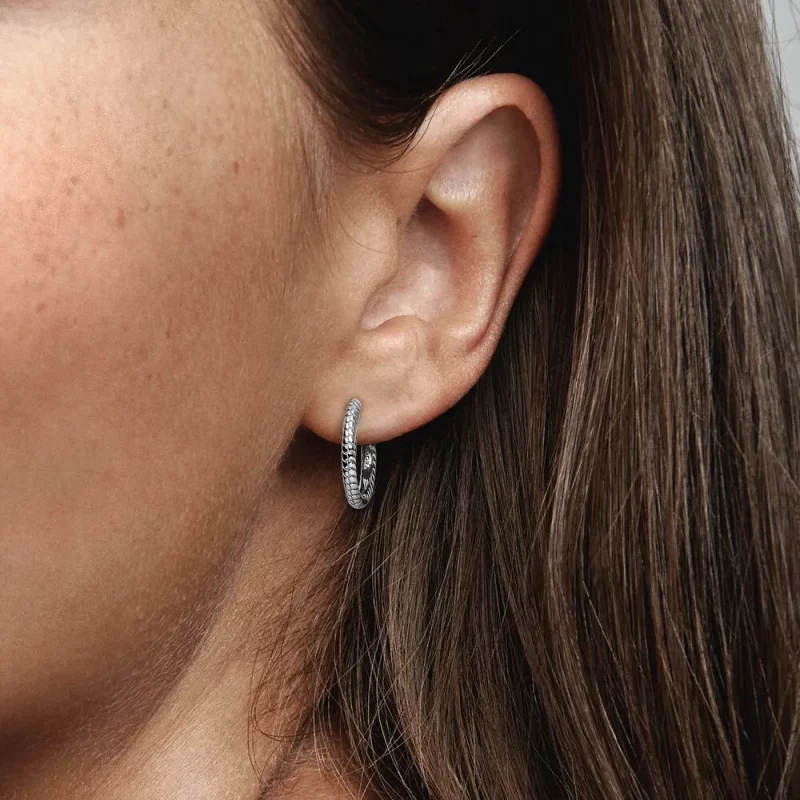 (afbeelding voor) Pandora Moments Kleine Charm Oorbellen - 292728C00 - Bekijken 3