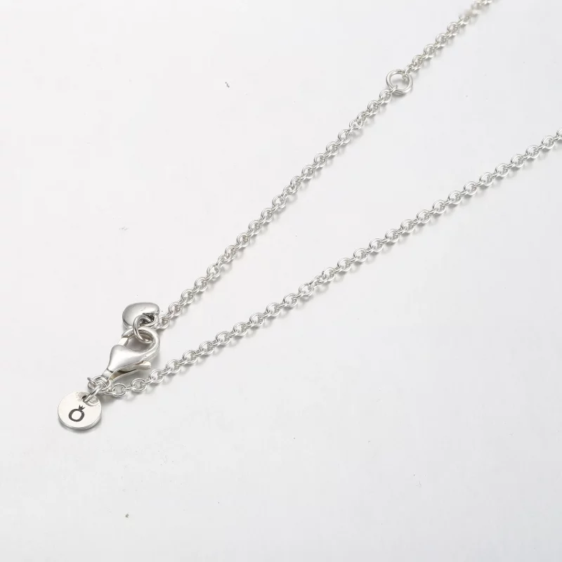 (afbeelding voor) Pandora Familie Altijd Omarmd Pendant Ketting - 391455C01 - Bekijken 4